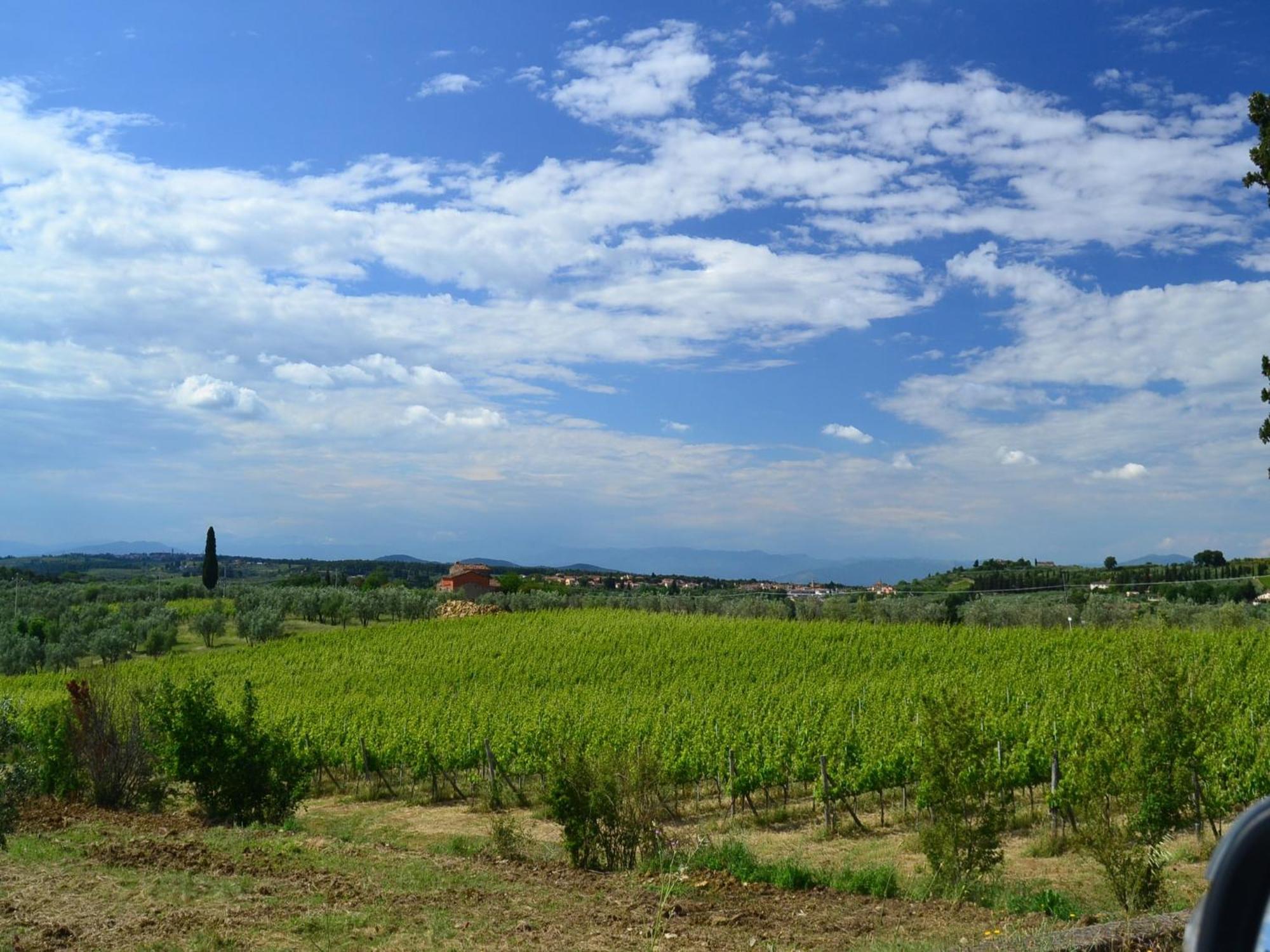 Lovely Holiday Home In Montefiridolfi With Hill View エクステリア 写真