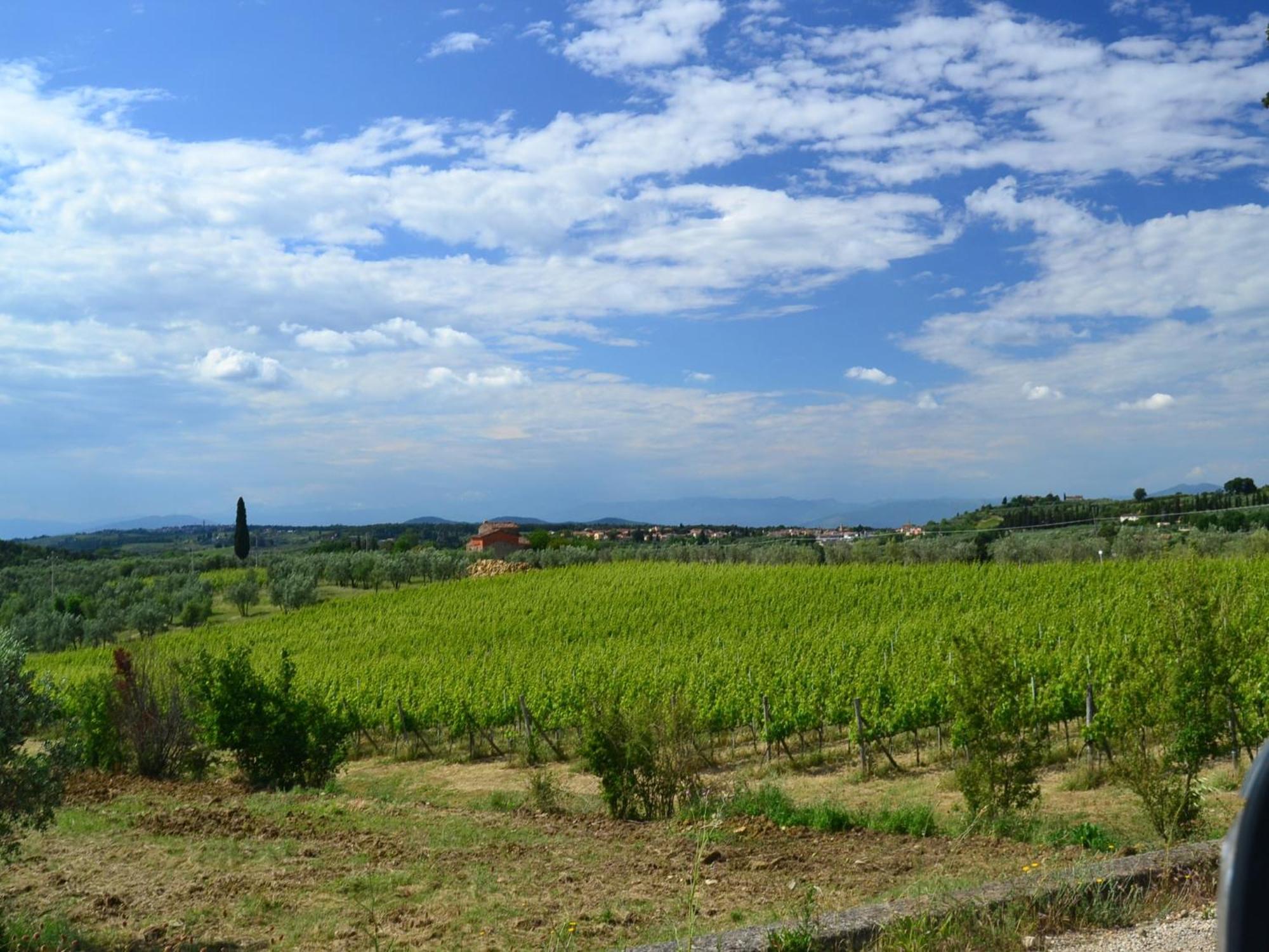 Lovely Holiday Home In Montefiridolfi With Hill View エクステリア 写真
