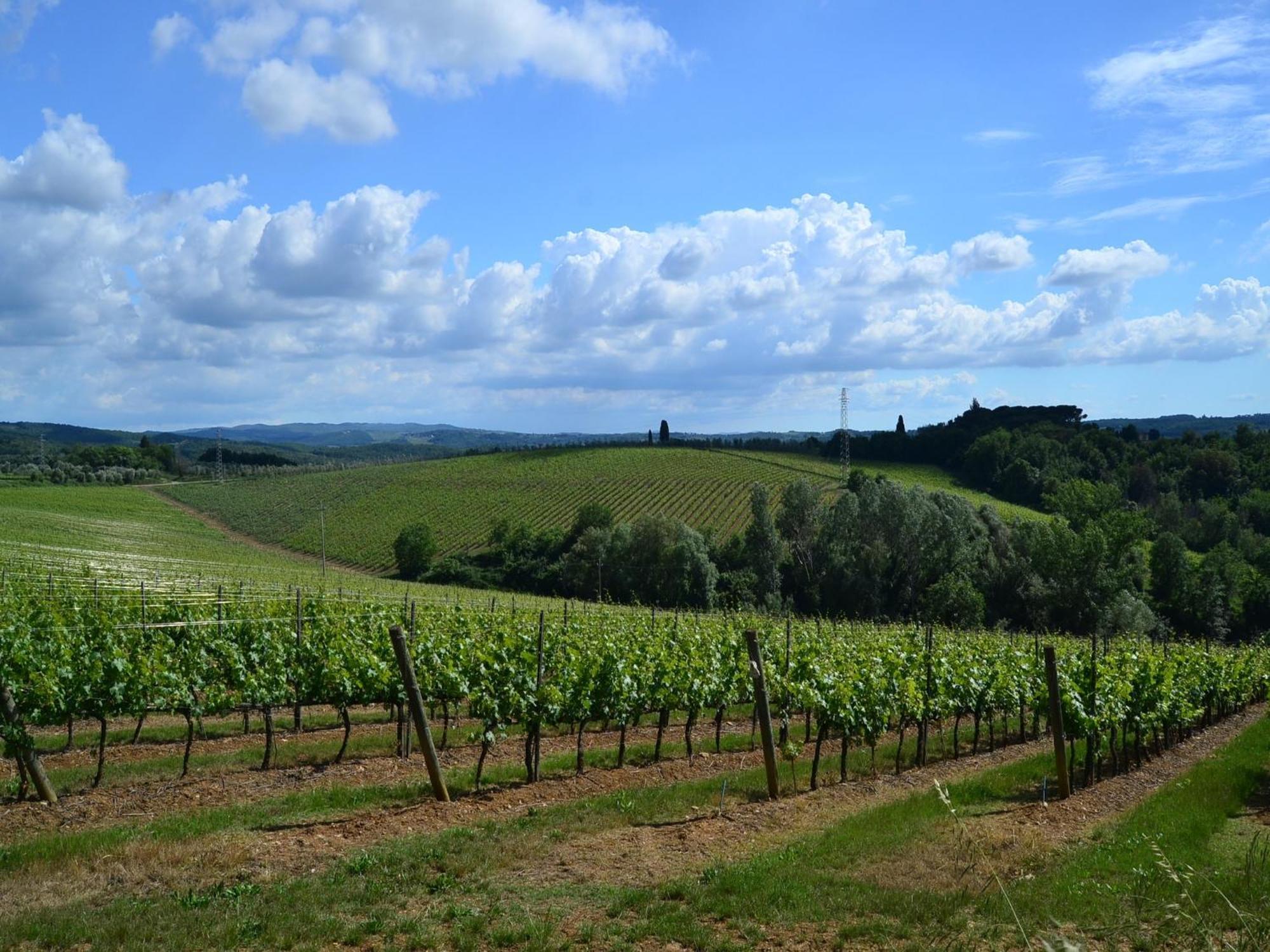 Lovely Holiday Home In Montefiridolfi With Hill View エクステリア 写真