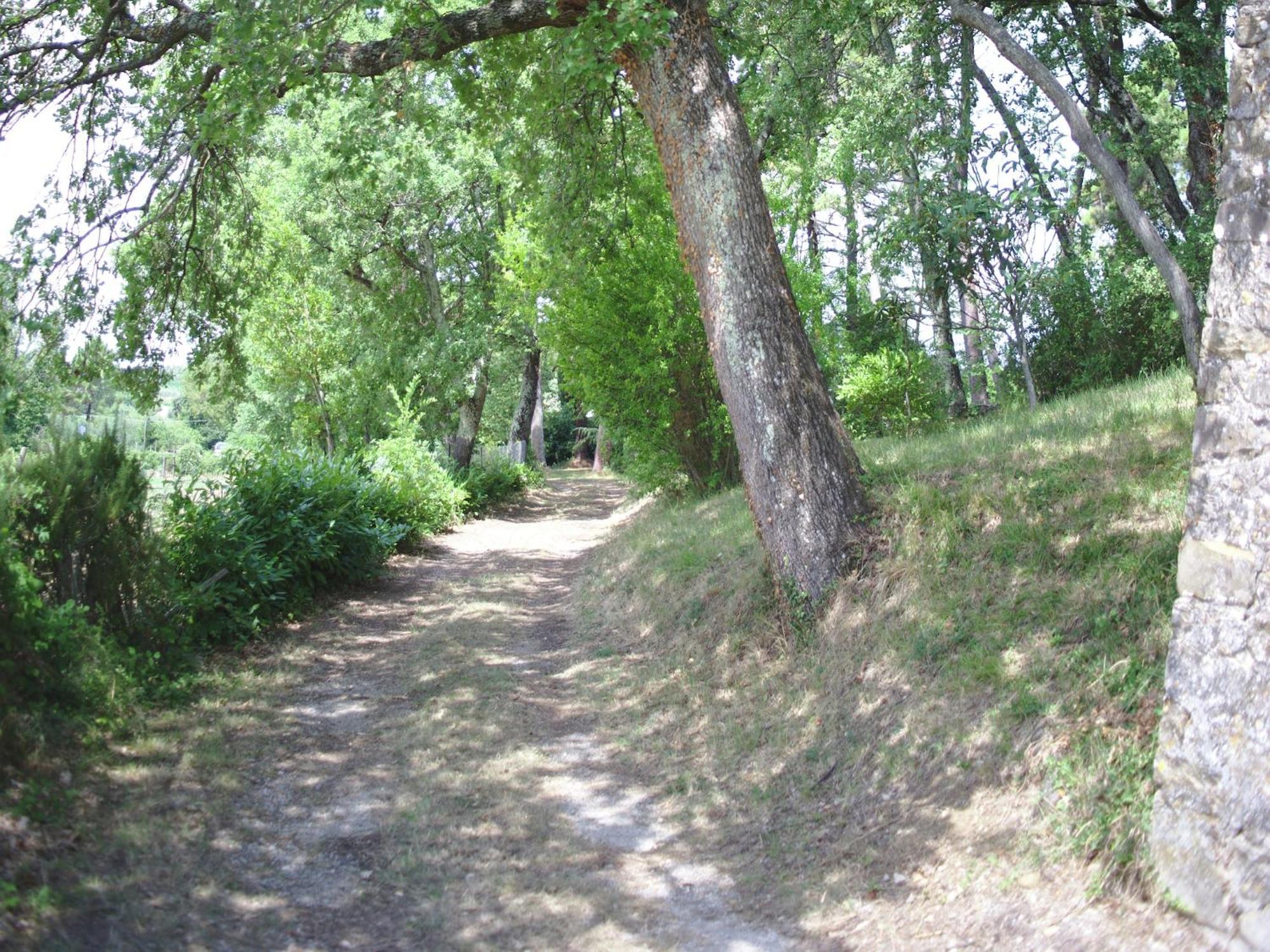 Lovely Holiday Home In Montefiridolfi With Hill View エクステリア 写真