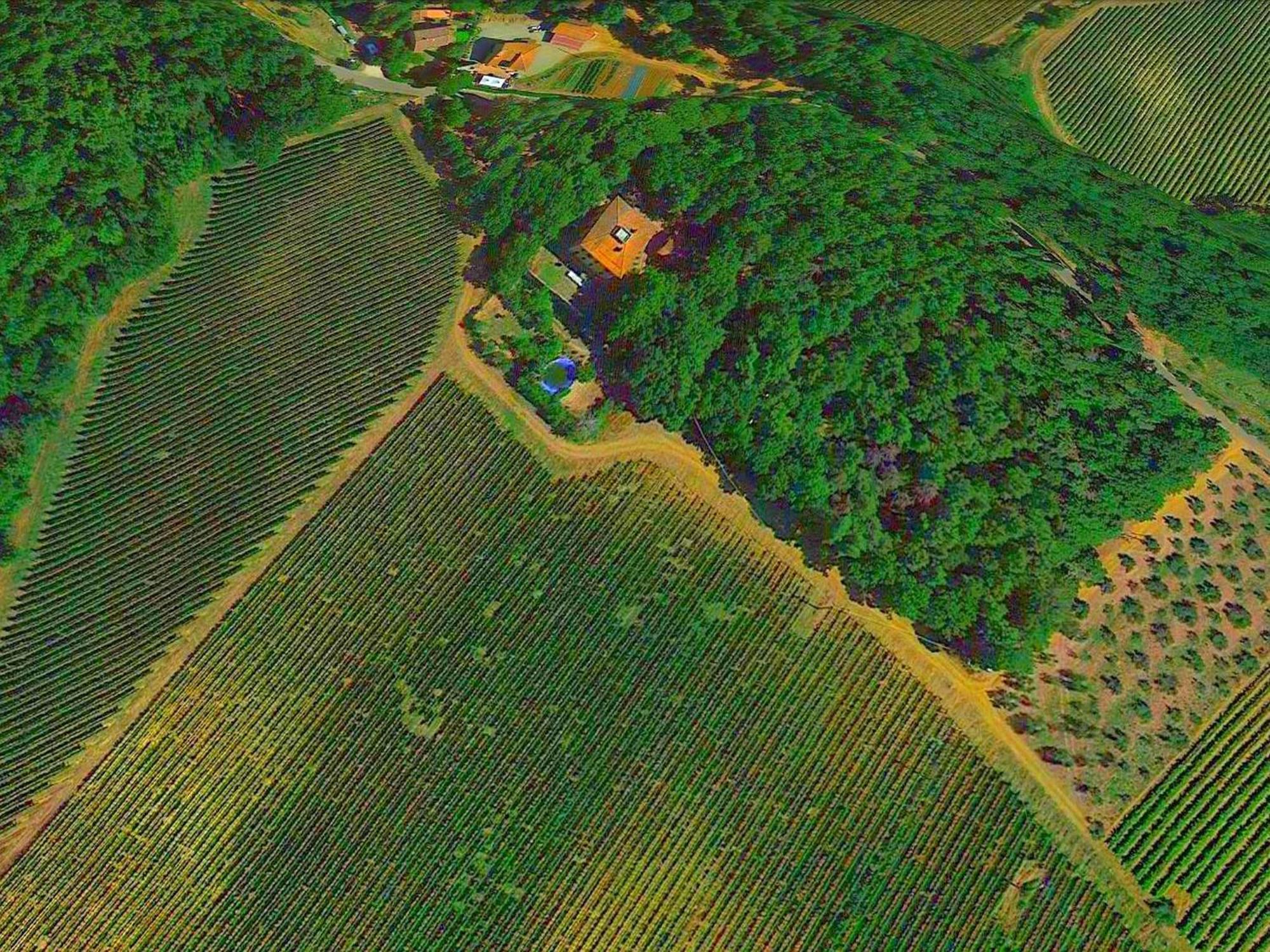 Lovely Holiday Home In Montefiridolfi With Hill View エクステリア 写真